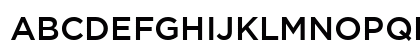 Medium Regular Preview