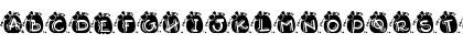 DJ Punkin Regular Font