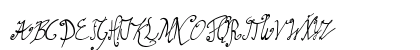 graceful regular Regular Uppercase Preview
