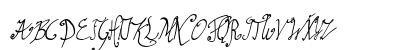graceful regular Regular Uppercase Preview