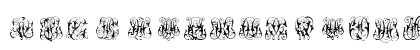 Hard to Read Monograms Regular Uppercase Preview