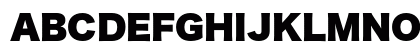 Hiragino Kaku Gothic Std W9 Preview