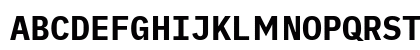 iA Writer Duo S Bold Uppercase Preview