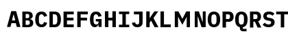 iA Writer Duospace Bold Uppercase Preview