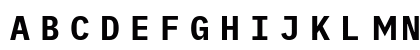 iMWritingDuoS NF Bold Uppercase Preview