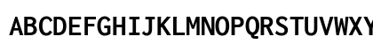 Inconsolata Nerd Font Bold Preview