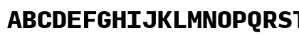 Input Mono Black Uppercase Preview