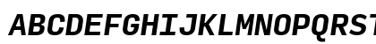 Input Mono Bold Italic Uppercase Preview