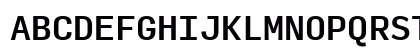 Input Mono Medium Preview