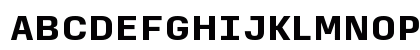 Input Sans Black Preview