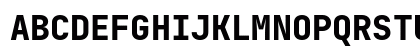 JetBrains Mono Extra Bold Uppercase Preview