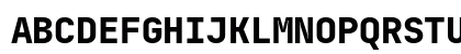 JetBrainsMono Nerd Font Regular Preview