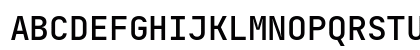JetBrainsMono Nerd Font Mono Regular Uppercase Preview