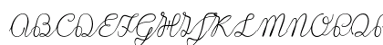 Lace 1.0. Regular Preview