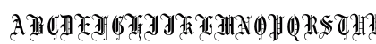 LeonTextOpti Solid Preview