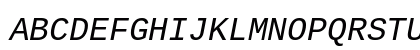 LiterationMono Nerd Font Mono Italic Preview