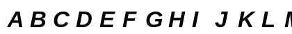 LiterationSans NF Bold Italic Preview