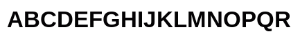 LiterationSans NF Bold Preview