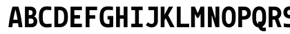 Monoid Bold Uppercase Preview