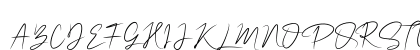 NalikaSignature Regular Preview