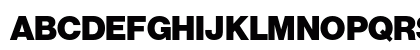 Neue Haas Grotesk D W0495 Bold Preview