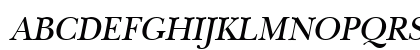 NewBaskerExpert Oblique Preview