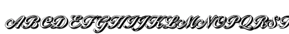 NicholasBeckerShadow Bold Preview