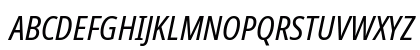NotoSans NF Italic Preview