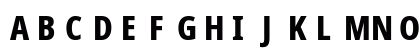 NotoSansDisplay Nerd Font Mono Regular Uppercase Preview