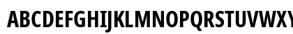 NotoSansDisplay Nerd Font Bold Uppercase Preview