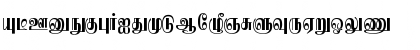 Eelamlead Plain Font