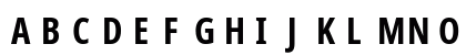 NotoSans NF Bold Preview