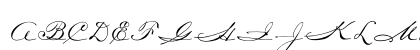 OPTICarmella HandScript Preview