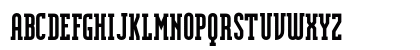 OPTIModularSerif Bold Preview