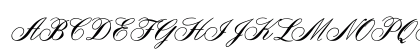 OYALE Scrip Bold Normal Preview