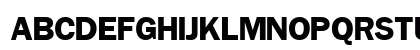 Patella Normal Uppercase Preview