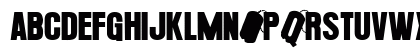 PLATOoN Regular Uppercase Preview