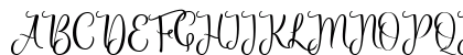 Priscilla Script Regular Uppercase Preview