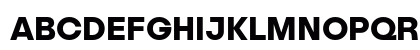 Publica Sans Bold Uppercase Preview