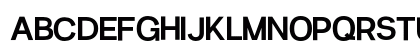 Radio Grotesk Bold Preview