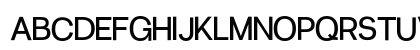 Radio Grotesk Regular Preview