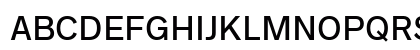 Radnika Next Medium Alt Preview