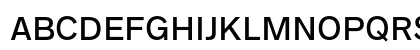 Radnika Next Medium Preview