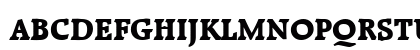 RaleighBlack Bold Uppercase Preview