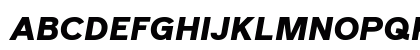 Reader Pro Black Italic Preview
