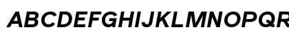 Reader Pro Bold Italic Preview