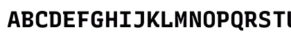 Rec Mono Duotone Bold Uppercase Preview