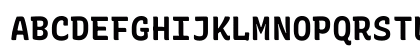 Rec Mono SemiCasual Bold Uppercase Preview