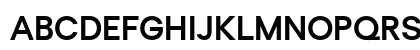 Regola Pro Bold Uppercase Preview