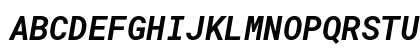 RobotoMono Nerd Font Bold Italic Preview
